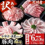 小分け 真空パック 九州産豚肉4種セット 計6.75kg
