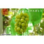 ふるさと納税 訳あり シャインマスカット 2房 合計1.1kg以上 産地直送 朝採れ ぶどう 葡萄 シャイン マスカット 岡山 Kawahara Green Farm 2026.. 岡山県里庄町