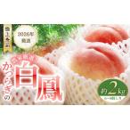 ふるさと納税 桃 白桃  約2kg 6〜8個 【秀品】【BK012-kgr009A】 和歌山県かつらぎ町