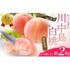 ふるさと納税 桃 白桃 川中島白桃　約2kg 6〜8個入【秀品】【BK013-kgr011A】 和歌山県かつらぎ町