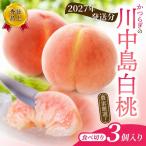 桃 白桃 川中島白桃 3個入らり