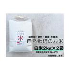 自然栽培米 白米2kg×2種 旭 初霜 コシヒカリのうちいずれか…