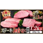 ふるさと納税 【毎月定期便】飛騨牛 ステーキ定期便 計約1.2kg【冷蔵便】全3回_肉 ステーキ 牛肉 ビーフステーキ 定期便 定期便 _【配送不可地.. 岐阜県羽島市