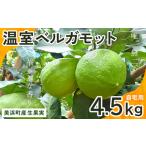 産温室ベルガモット 生果実 4.5kg入り
