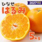 みかん ひなせ はるみ 約5kg