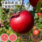 りんご 紅玉5kg