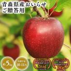 りんご おいらせ5kg