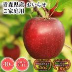 りんご おいらせ10kg