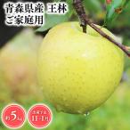 りんご 王林5kg