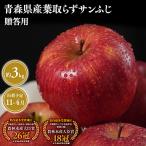 りんご 葉とらずサンふじ3kg
