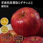 りんご 葉とらずサンふじ5kg