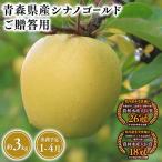 りんご シナノゴールド3kg