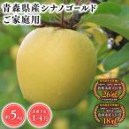 りんご シナノゴールド5kg