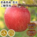 りんご 美丘3kg