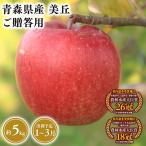 りんご 美丘5kg