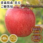 りんご 美丘10kg