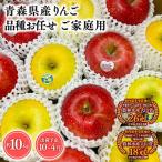 りんご 旬のりんご詰め合わせ10kg