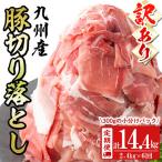 九州産 豚切り落とし肉 豚肉 ぶた肉 肉 定期便..