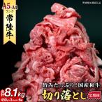 全6回 切り落とし 900g