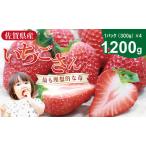 ふるさと納税 いちごさん 4箱セット（1,200g） ふるかわ農園 苺  B130-054 いちご 果物 佐賀県 小城市 佐賀県小城市