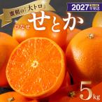 みかん ひなせせとか 約5kg