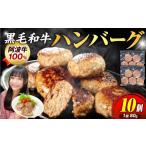 ふるさと納税 ハンバーグ 10個 国産 ハンバーグ ハンバーグ ハンバーグ ハンバーグ ハンバーグ 徳島県小松島市