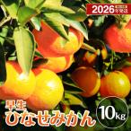 ひなせみかん 早生約10kg 2026年11月~