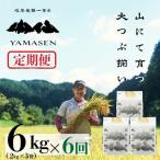 2026年10月から毎月発送 山仙 いのちの壱 2kg×3