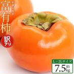 訳あり 富有柿 7.5kg