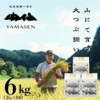 2026年10月中旬頃 すがたらいす 山仙