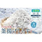 定期便10ヶ月しらす1kg 計10kgしらすしらすしらすしらすし…