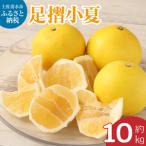 早川農園の足摺小夏 10kg