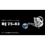 LIVRE リブレ BJ ダイワB1 ガンメタ×ゴールド