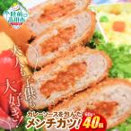 カレー包みメンチカツ 60g×40個