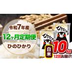 ふるさと納税 【12ヶ月定期便】 令和7年産 定期便 ひのひかり白米 10kg 《お申込み翌月から出荷》｜人気米 熊本県産米 お米 生活応援米 熊本県玉東町