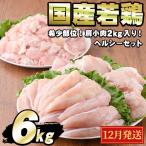 若鶏肉ヘルシーセット 合計6kg