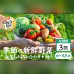 定期便 季節の野菜セットA 6~8品目 お届け回数