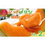 ふるさと納税 【先行予約】 香り豊かな 北海道レッドメロン 1.3kg×2玉(2025年7月下旬発送予定) | メロン メロン メロン メロン メロン メロ.. 北海道旭川市