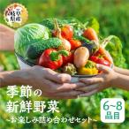 季節の野菜セットA 6~8品目 お届け 品目おまかせ