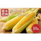 播本農園のスイートコーン 10本