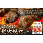 はかた 地どり 炭火焼 セット 500g