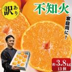 訳あり 不知火 3.8kg