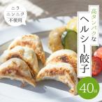 発 朝専用餃子 岐阜モーニング餃子 40個入×2袋