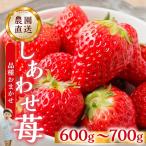 品種おまかせ いちご 600-700g サイズ