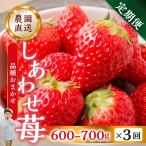 いちご 品種おまかせ 600-700g ×3回