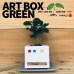 アート ボックス ART BOX GREEN