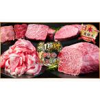 ふるさと納税 【毎月定期便】飛騨牛 少なめ定期便 計2.5kg 全6回 ステーキ、切り落とし、焼肉、赤身ブロック肉_肉 ステーキ 牛肉 ビーフステーキ.. 岐阜県羽島市