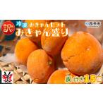 ミカン 温州みかん 柑橘 果物 フルーツ デザート