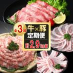 贅沢 黒毛和牛 豚肉定期便 3ヶ月連続 総量2.9kg以上