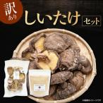 しいたけ粉末× しいたけ 椎茸 シイタケ 合同会社knot